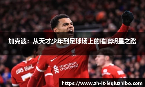 加克波：从天才少年到足球场上的璀璨明星之路